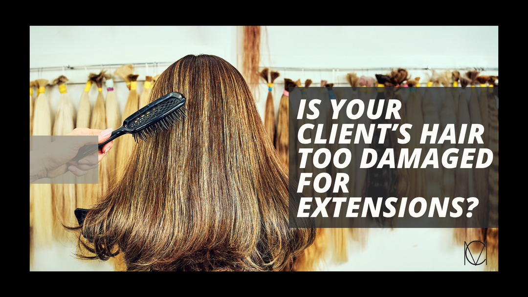 Should You Install Extensions on Damaged Hair, or Turn Clients Away?
