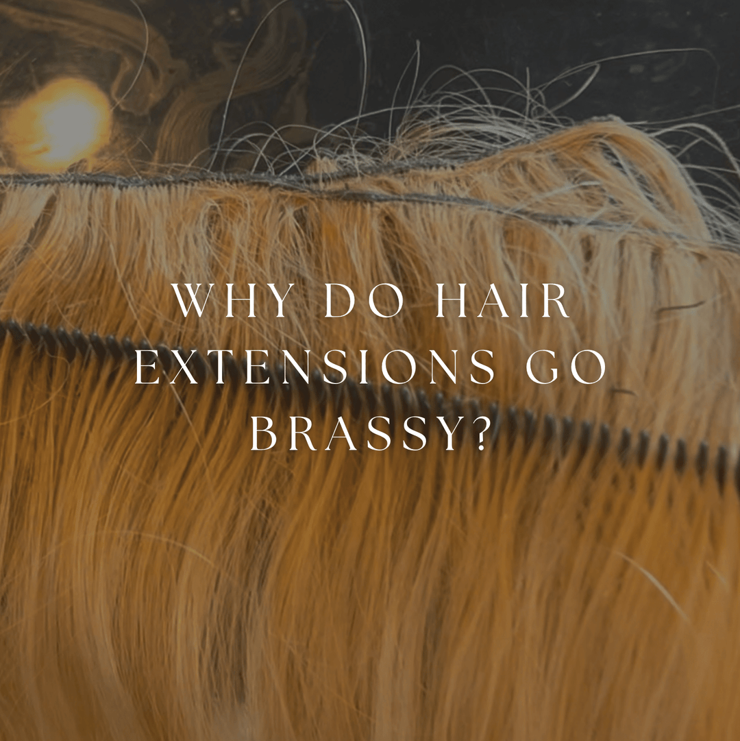 How to Fix Brassy Hair Extensions: A Complete Guide for Stylists and Clients - Christian Michael Hair Extensions