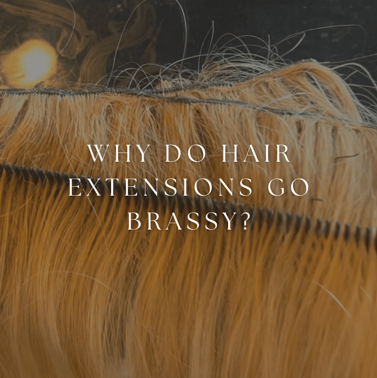 How to Fix Brassy Hair Extensions: A Complete Guide for Stylists and Clients - Christian Michael Hair Extensions